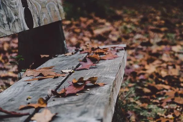 Germany Celebrates November